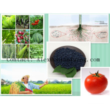 NPK 7.5-0-4 Water Soluble Fertilizer